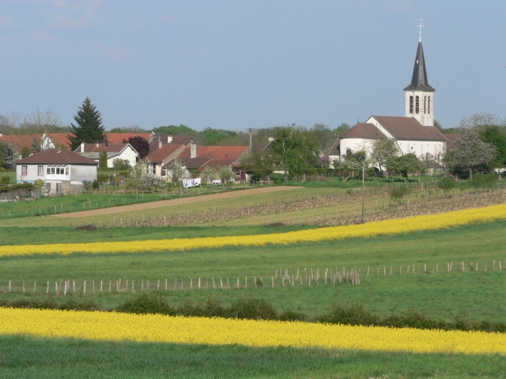 Depuis le chemin du moulin - Samerey