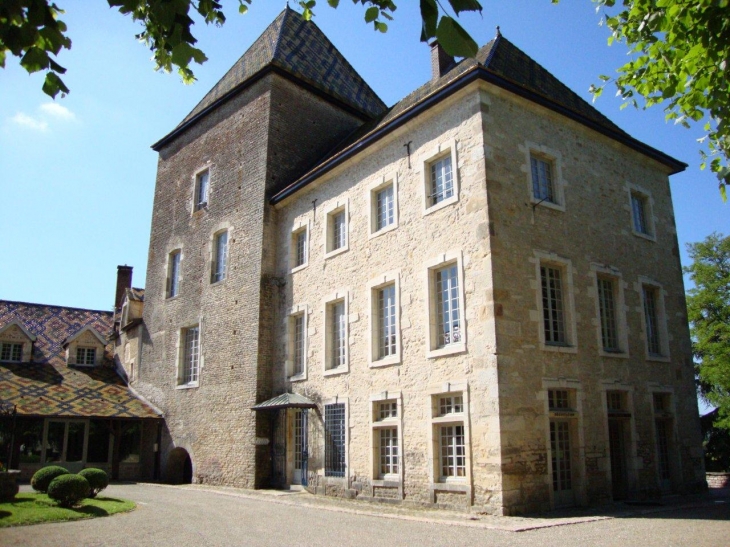 Santenay (21590) château de Philippe le Hardi