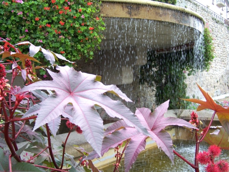 Fontaine - Saulieu