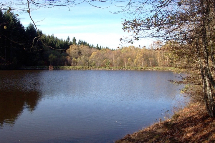 Etang de l'Argentalé - Saulieu