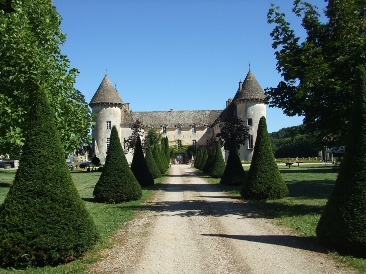 Château de savigny les beaune - Savigny-lès-Beaune