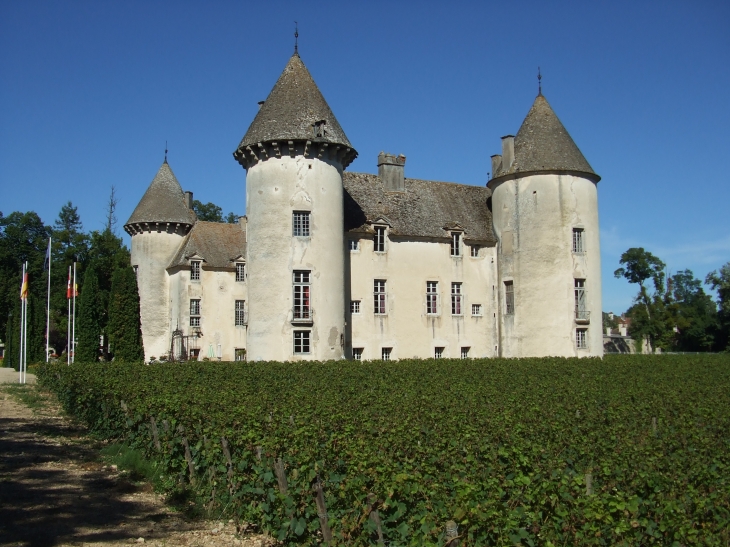 Château de savigny les beaune - Savigny-lès-Beaune