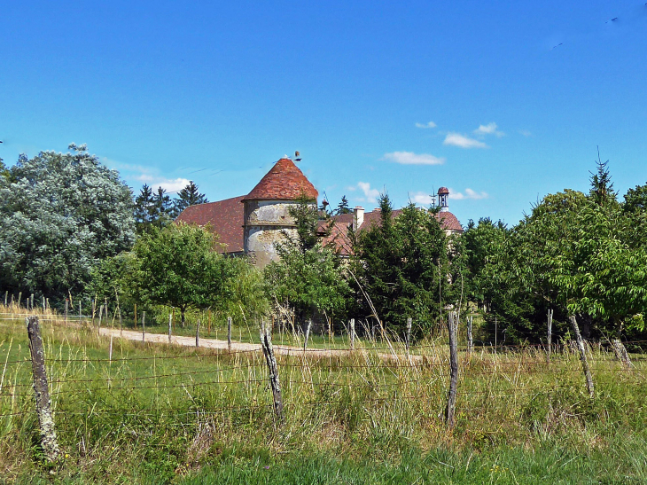 Vue sur le château - Souhey