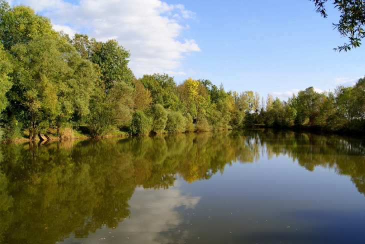 Etang de Talmay