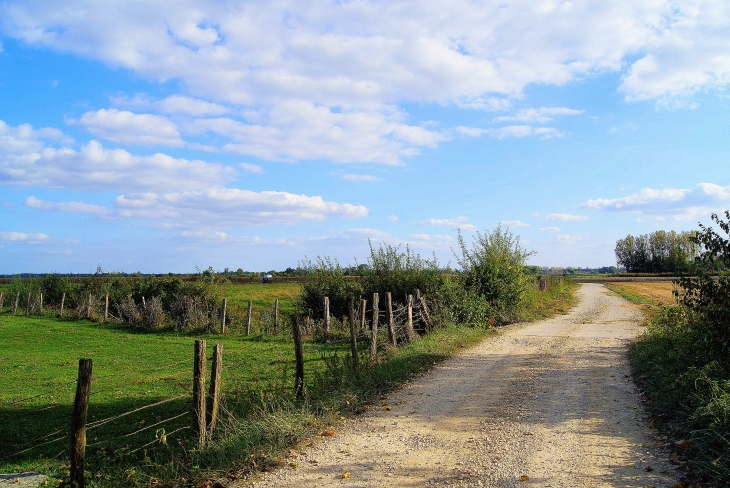 Chemin - Talmay