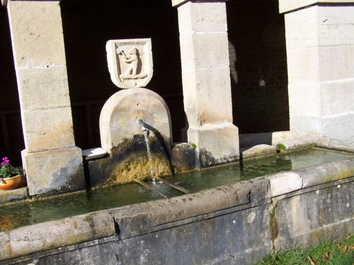 L'ourson sur la fontaine du lavoir - Urcy