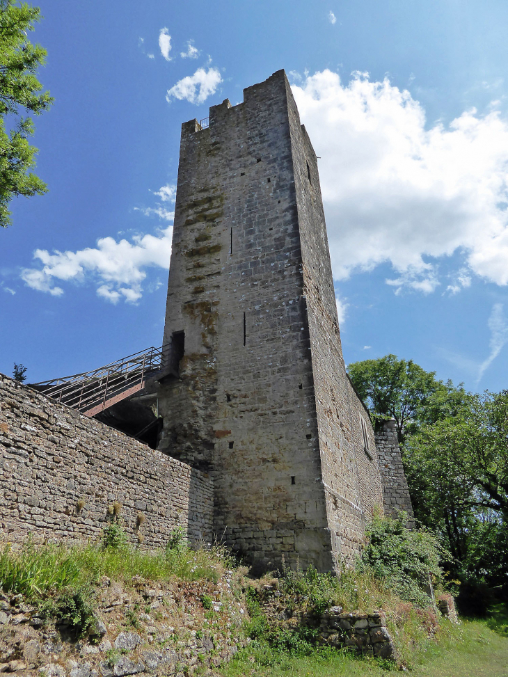 Tour du château - Vic-sous-Thil