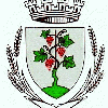 Blason de Vignoles