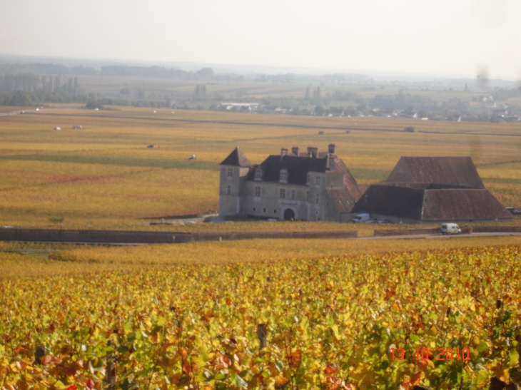 Chateau de vougeot