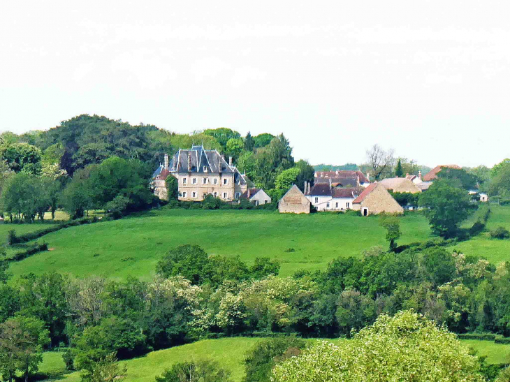 Vue sur le château de Chavannes - Amazy