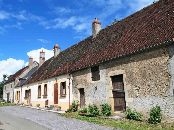 Maisons alignées - Arbourse