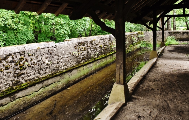 Le Lavoir - Arquian