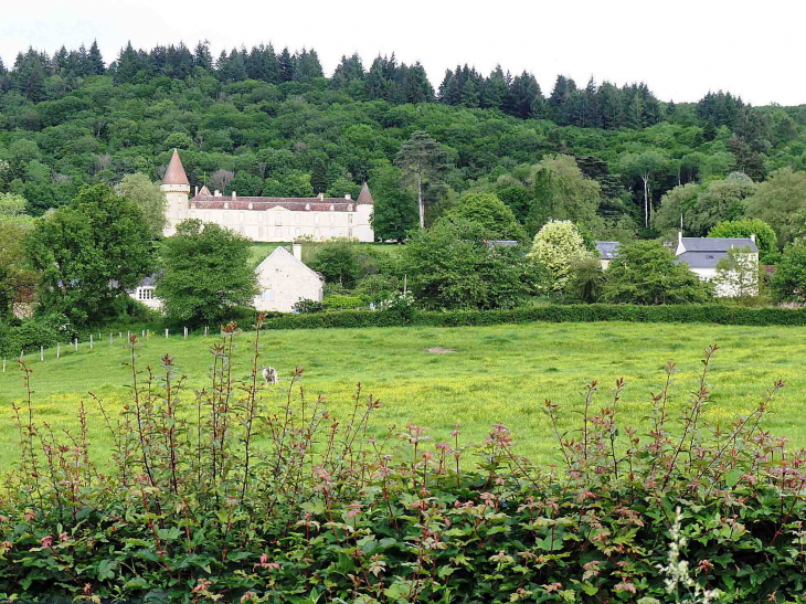 Vue sur le château de Vauban - Bazoches