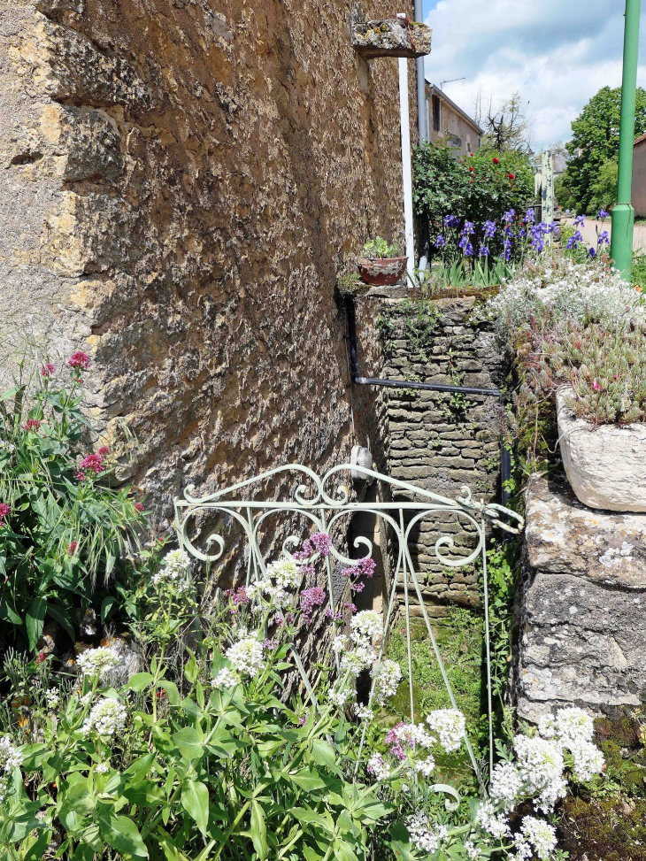 Accès à la cave d'une maison - Beaulieu