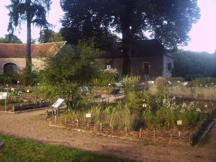 Le jardin naturel - Blismes