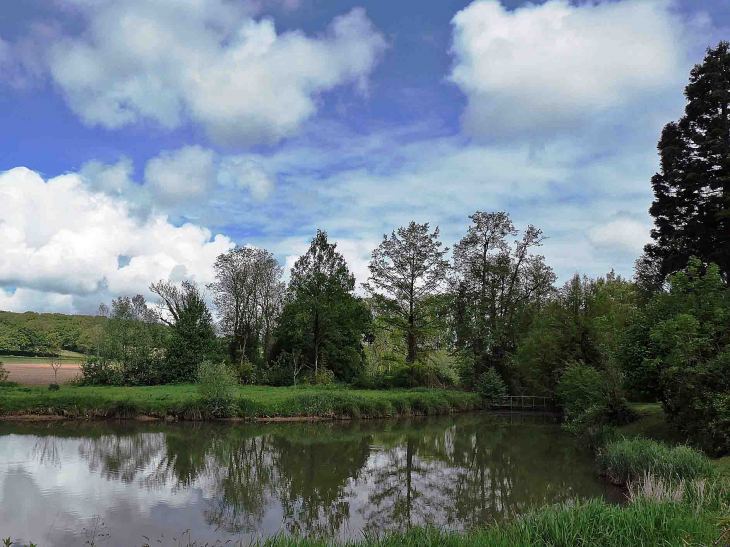 L'étang - Dompierre-sur-Nièvre