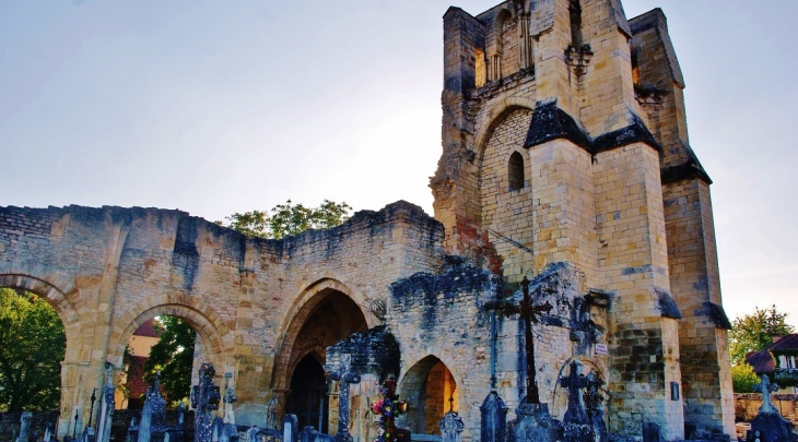 ,Notre-Dame du Pré ( Ruines ) - Donzy