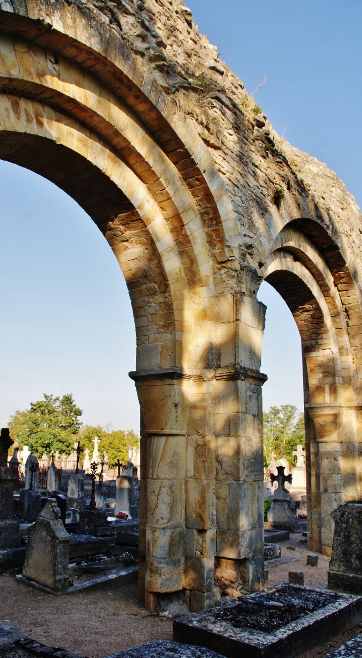 ,Notre-Dame du Pré ( Ruines ) - Donzy