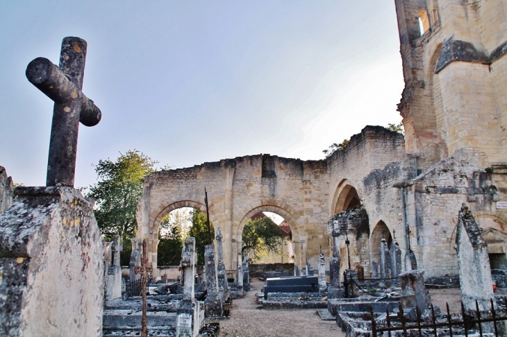 ,Notre-Dame du Pré ( Ruines ) - Donzy