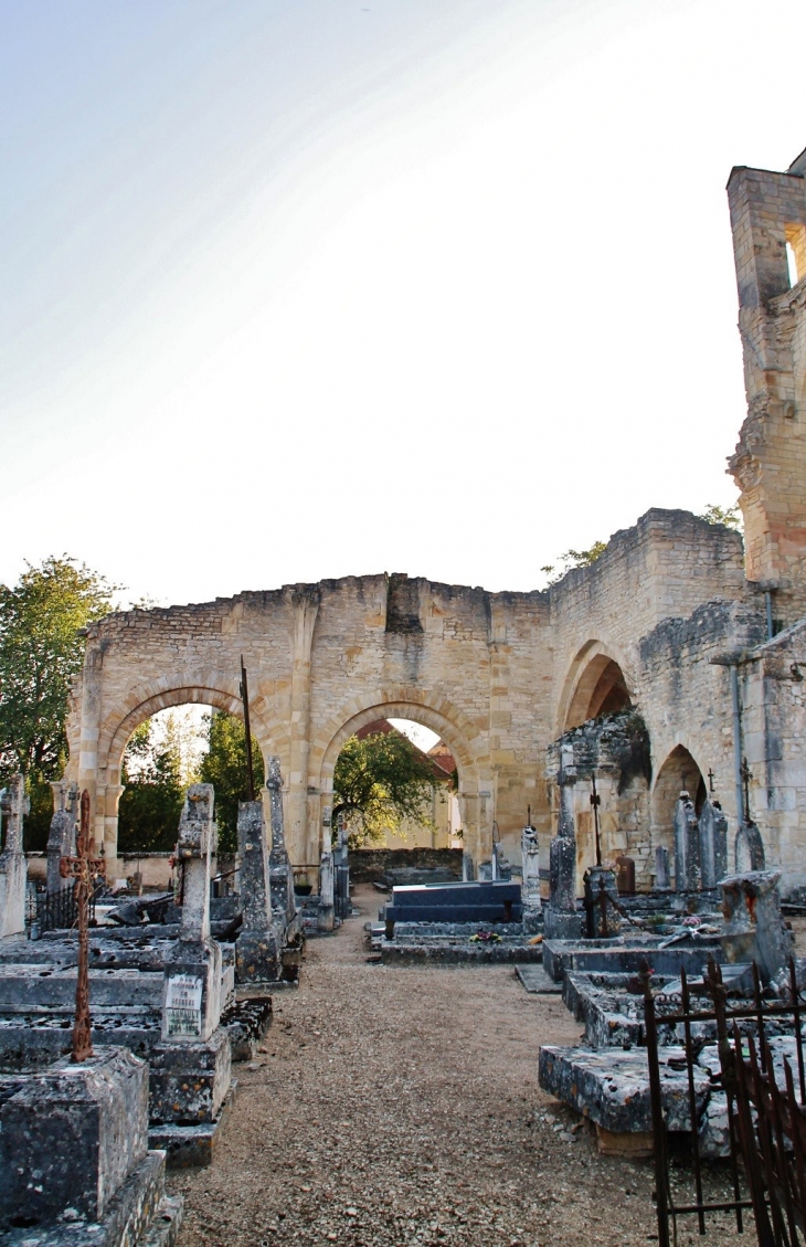 ,Notre-Dame du Pré ( Ruines ) - Donzy