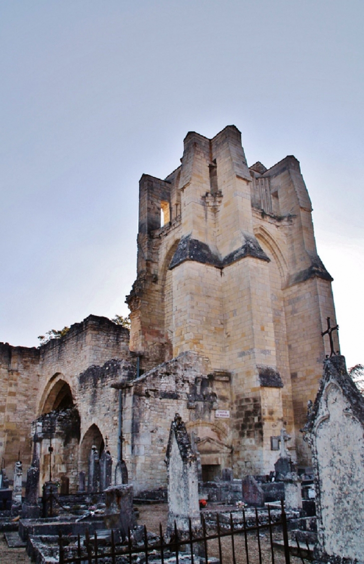 ,Notre-Dame du Pré ( Ruines ) - Donzy