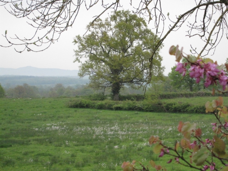 PRE AU PRINTEMPS ENVIRON FOURS COURS GARNET