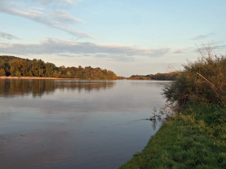 Bord de Loire - Gimouille