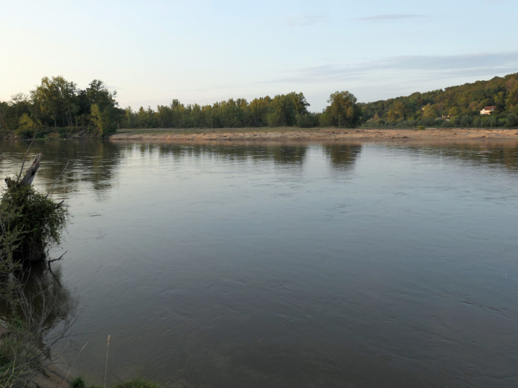 Le bec d'Allier ; confluent Allier-Loire - Gimouille