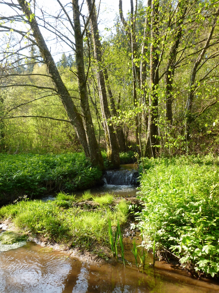 Quand-l-etang-se-reforme-apres-une-grosse-pluie-dans-le-grand-pre-de-machefer-au-dessus-du-moulin - Larochemillay