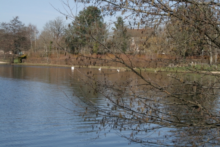 Etang du Gouleaux - Lormes