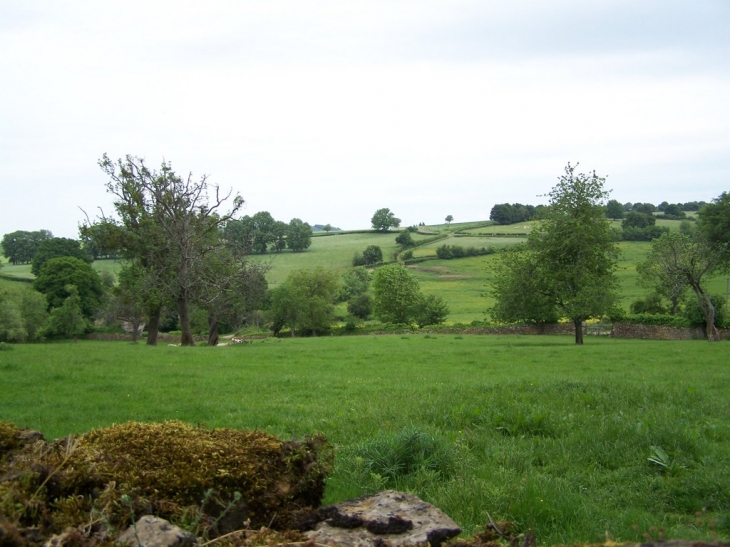 Vue de la campagne depuis le chateau de trinay - Marcy