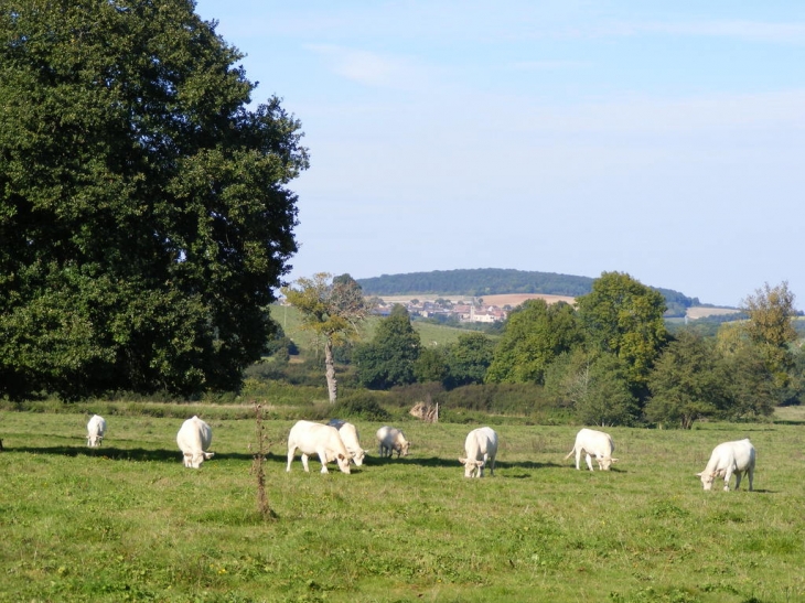 Monceaux-le-comte