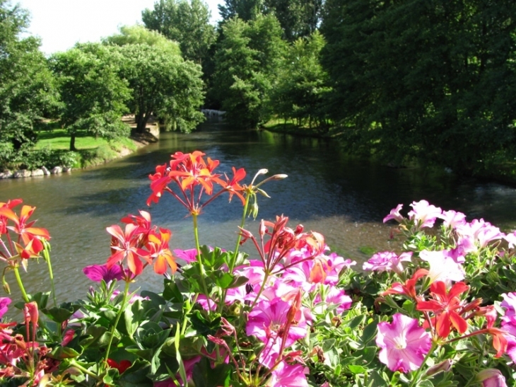 L'YONNE A MONCEAUX LE COMTE - Monceaux-le-Comte