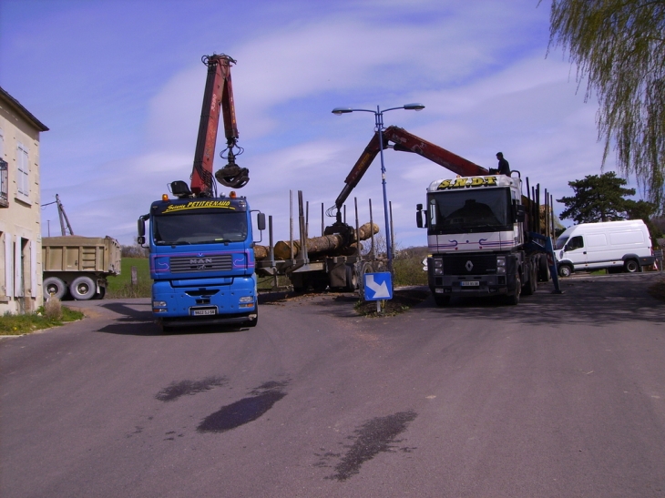 Manoeuvre de bois à Monceaux le Comte - Monceaux-le-Comte