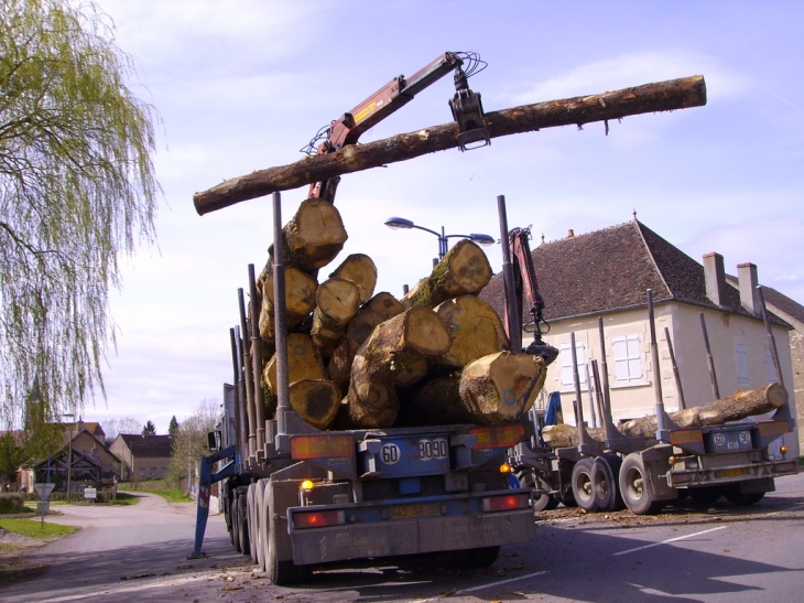 Manoeuvre de bois à Monceaux le Comte - Monceaux-le-Comte