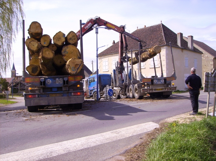 Manoeuvre de bois à Monceaux le Comte - Monceaux-le-Comte