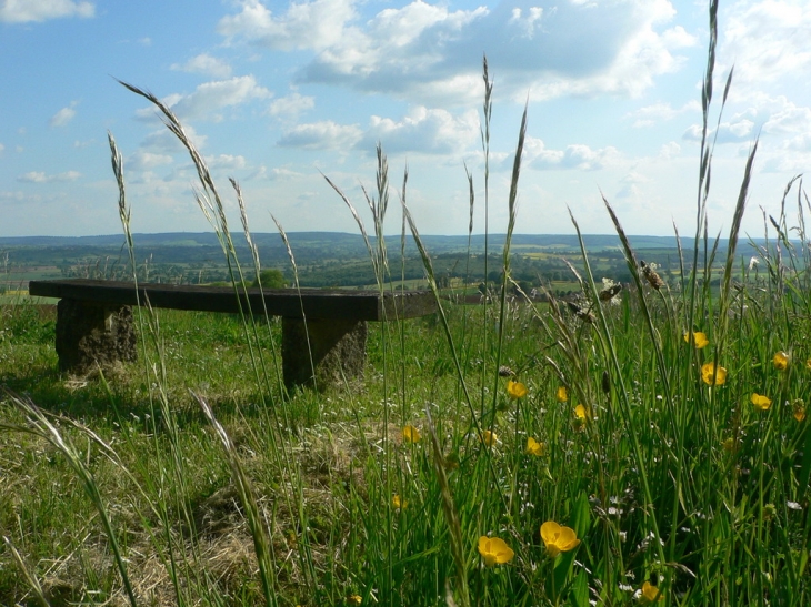 Montenoison - Vue panoramique