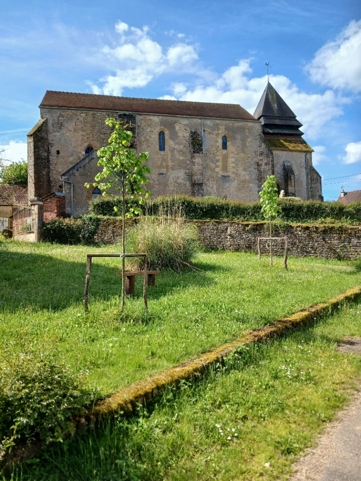 L'église de la Nativité              - Neuffontaines