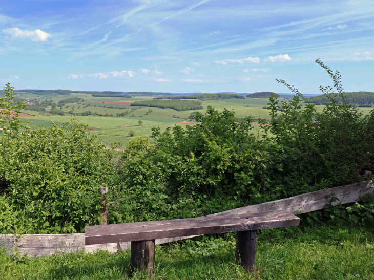 Vue du  Mont Sabot - Neuffontaines