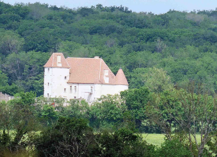 Le château de la Chaise - Pazy