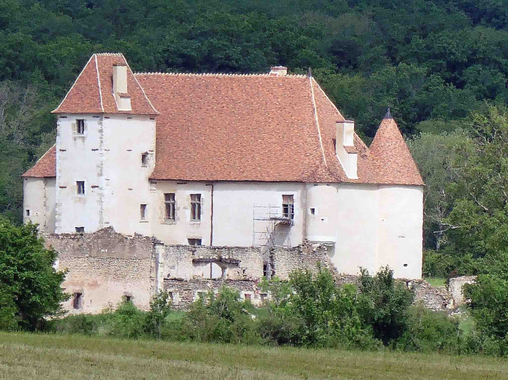 Le château de la Chaise - Pazy