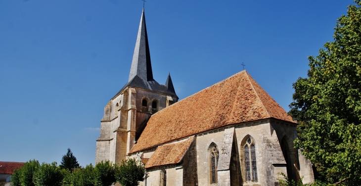 .église Saint-Vincent - Pougny