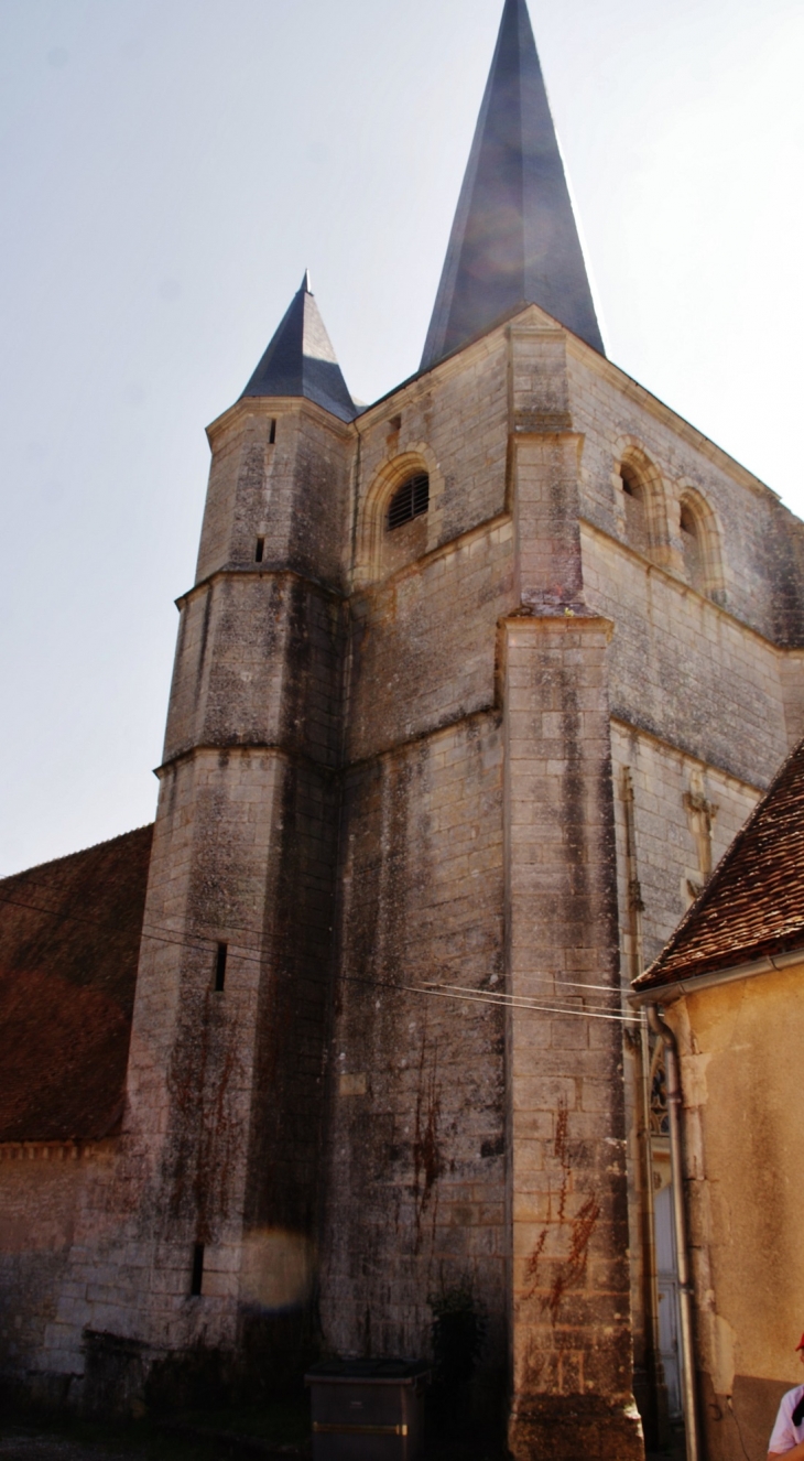 .église Saint-Vincent - Pougny