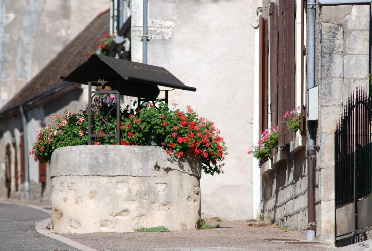 Puits à Pouilly - Pouilly-sur-Loire