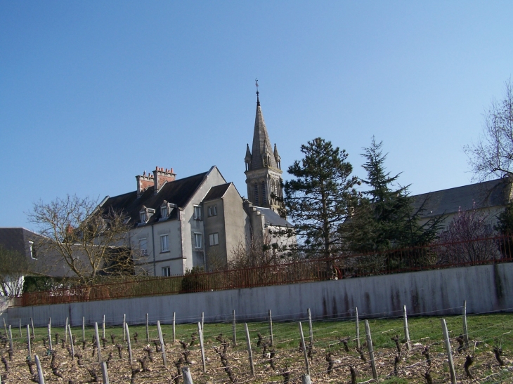 Vignes et village - Saint-Andelain