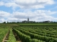 Photo suivante de Saint-Andelain Vignoble de St Andelain