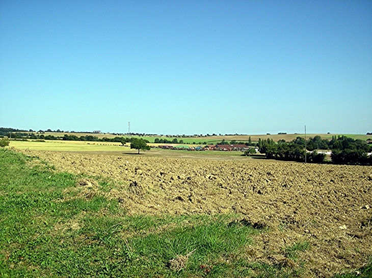 Le musée de la machine agricole se prépare pour la rétromoisson du 15 août 2009 - Saint-Loup