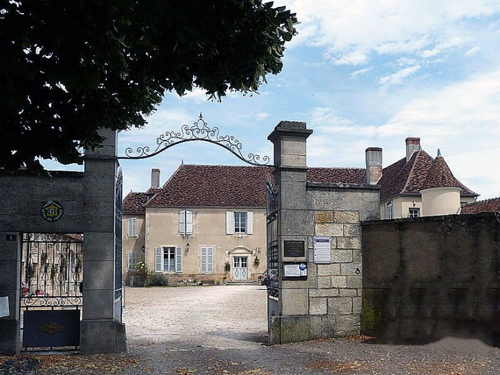 Le château - Surgy