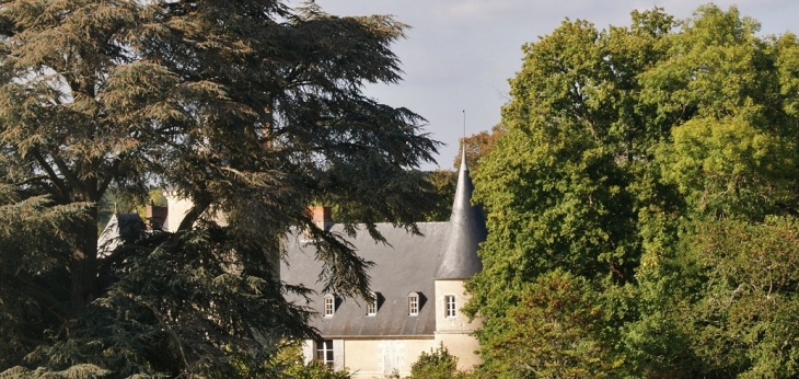 Le Château - Tracy-sur-Loire