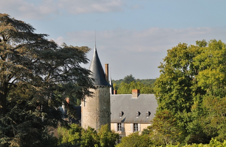 Le Château - Tracy-sur-Loire